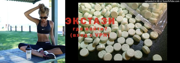 ECSTASY Инсар