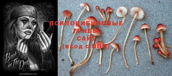 мяу мяу кристалл Инта