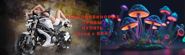 не бодяженный Иннополис
