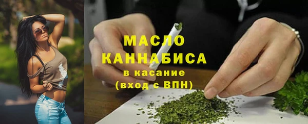 ECSTASY Инсар