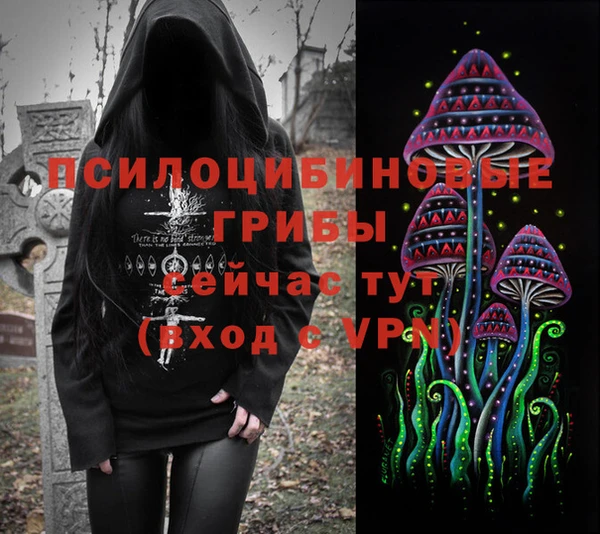 соль курить ск Каменка