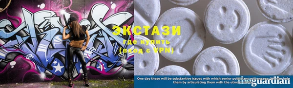 ECSTASY Инсар